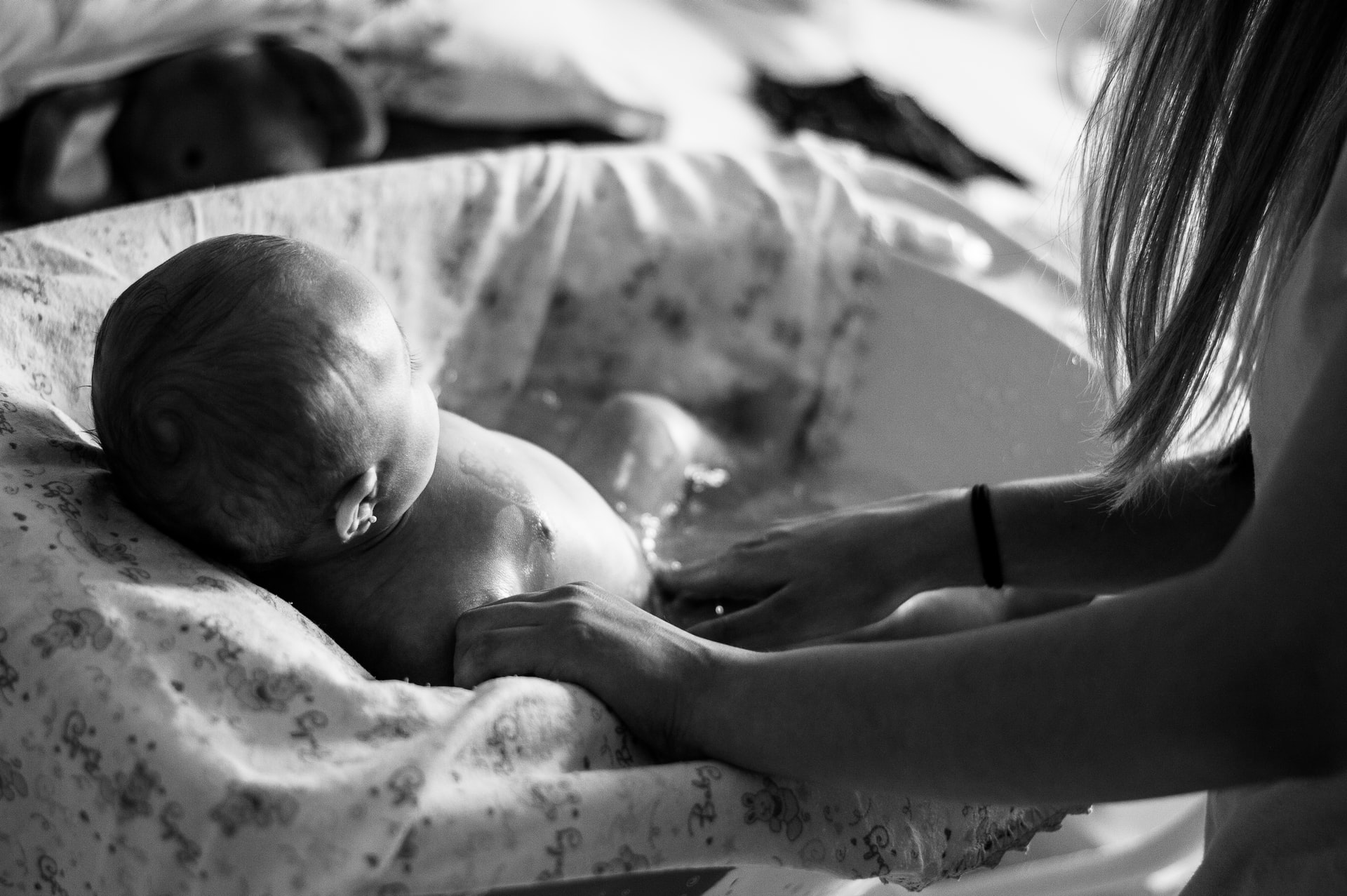 Flavia Gava Ot DjXhPuHM Unsplash