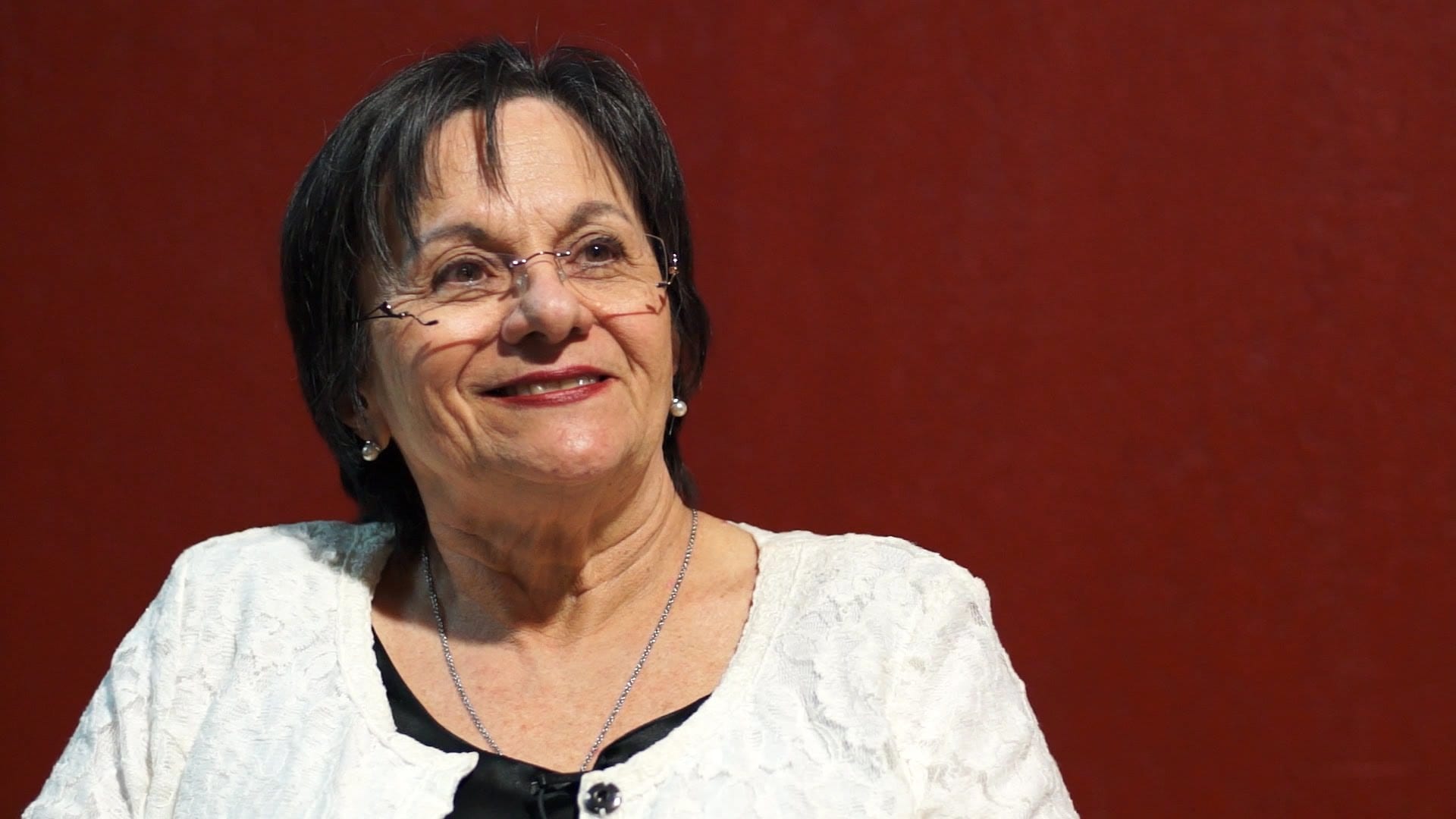 Maria Da Penha Lei Instituto Mulher 2