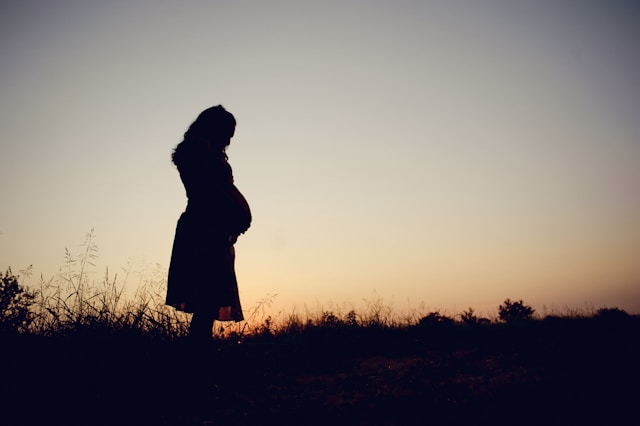 Jamie Coupaud Bc7E9R84P2Q Unsplash 1