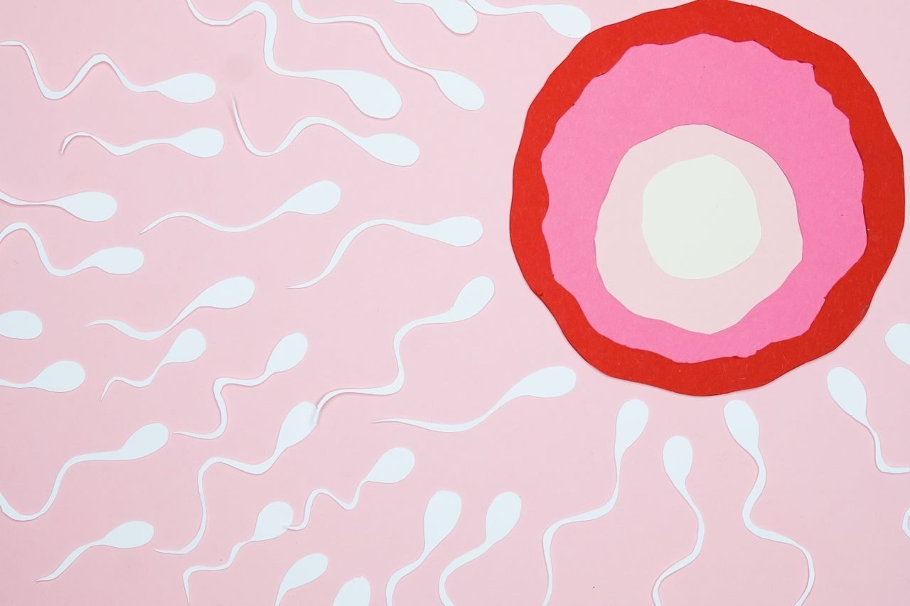 Creative illustration showing sperm moving towards an egg, symbolizing fertilization.