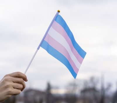 bandeira_trans