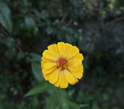 kiriakos-verros-B3T6xXujOqE-unsplash - Ana Maciel