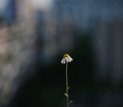 liana-s-QyKsBGE2tys-unsplash